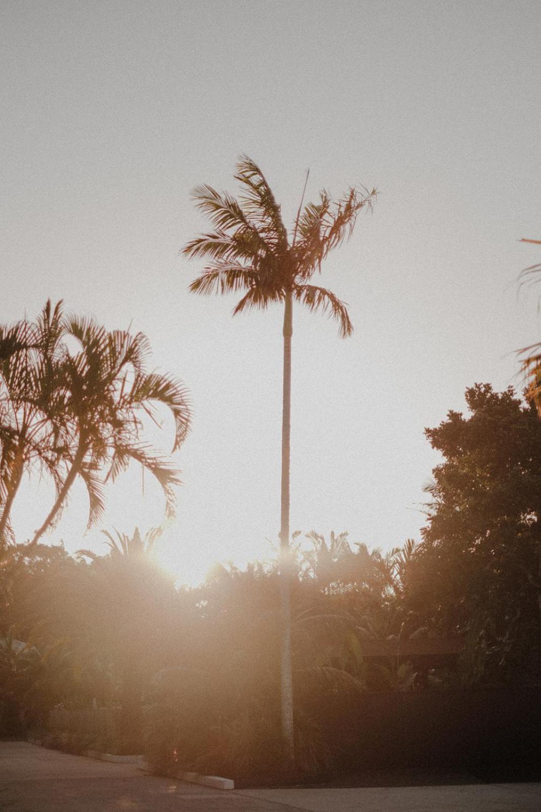 Hotel The Bower Byron Bay Extérieur photo